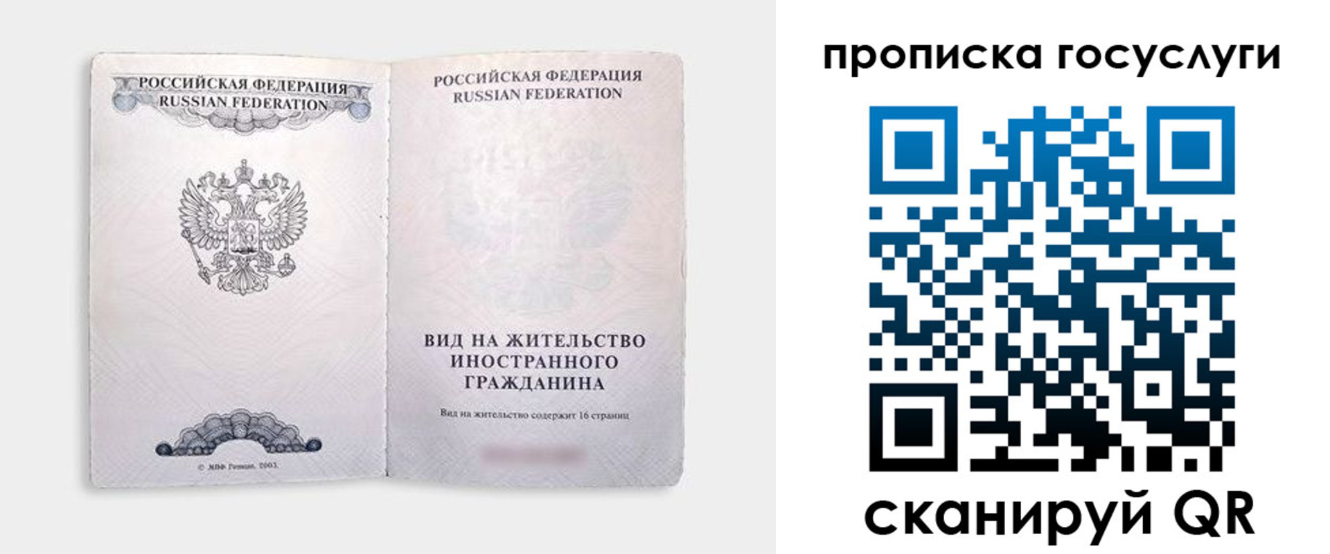 прописка поиск в Новороссийске